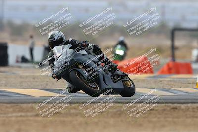 media/Mar-02-2025-Race Pace (Sun) [[8bec80ae00]]/12-Vested (Turn 2) 1111am/